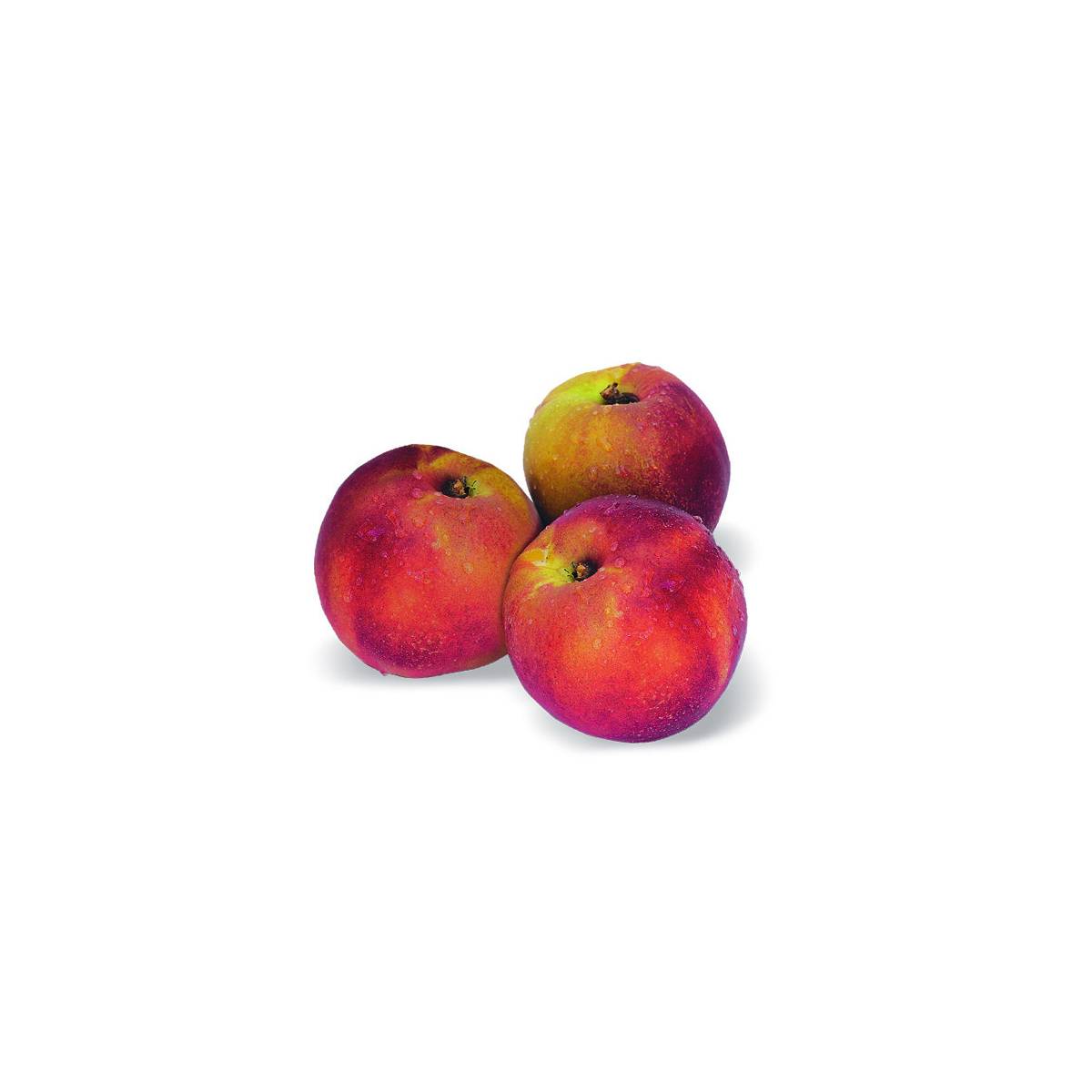 Nectarinier nain nectarinette - nains de jardins®/prunus persica nectarinette - nains de jardins®[-]pot de 5l