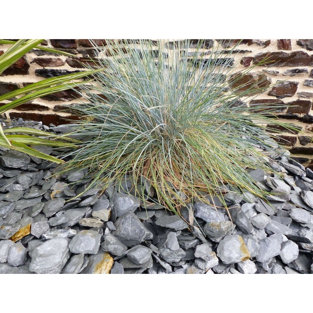 Paillage ardoise gris 30-60 pack 13 m² - 31 sacs - 775 kg