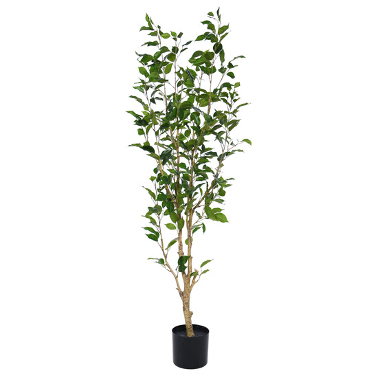 Ficus exotica nt artificiel 150cm