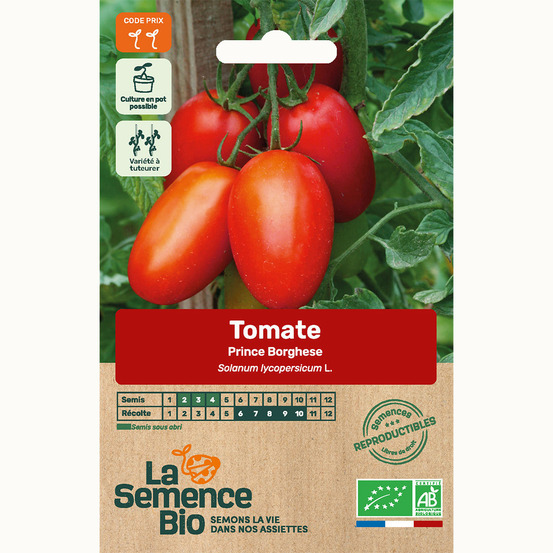 Tomate prince borghese - graines bio