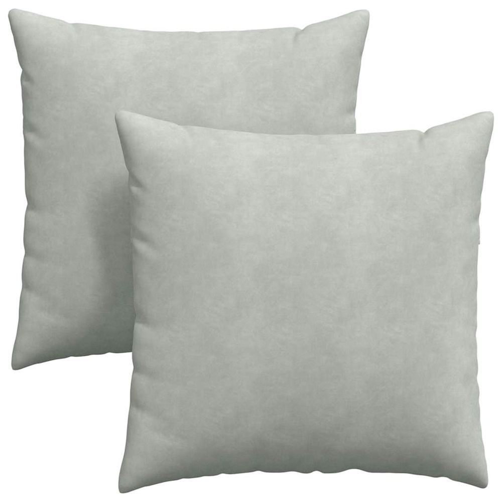 Coussins de canapé 2 pcs gris clair 60 x 60 cm
