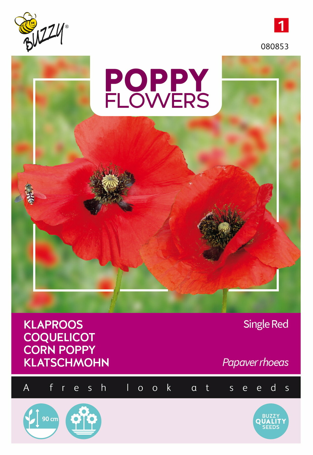 Buzzy poppy flowers, coquelicot simple rouge - ca. 1 gr (livraison gratuite)