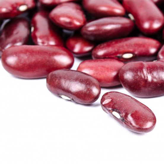 Haricot nain à écosser 'canadian wonder' le sachet de 150 graines environ (90g)