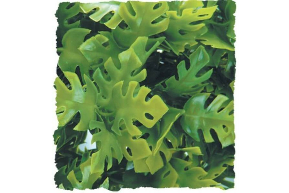 Amazonian phyllo - large 56 cm - décor pour terrarium