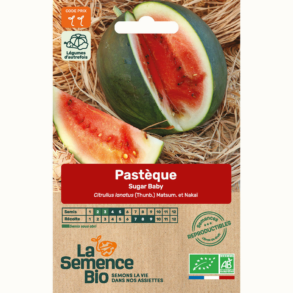 Pastèque sugar baby - graines bio
