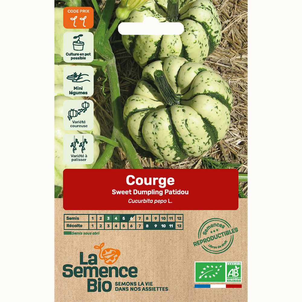 Courge sweet dumpling patidou - graines bio