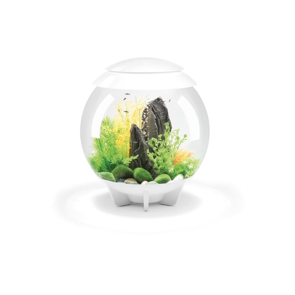 Aquarium décoratif 30l blanc - halo 30 mcr white