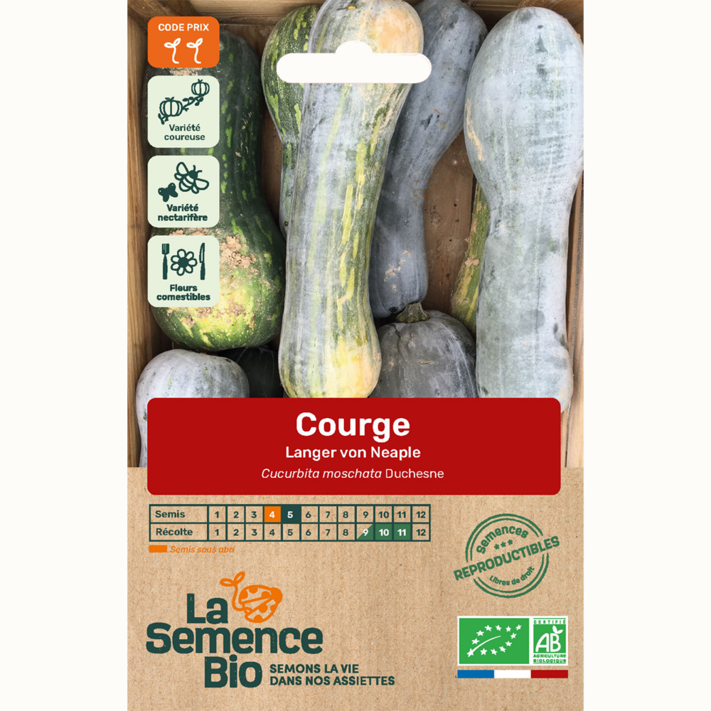 Courge langer von neaple - graines bio
