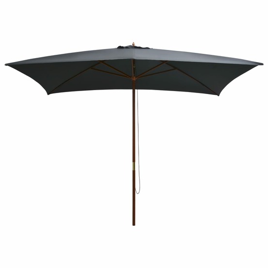 Parasol d'extérieur avec mât en bois 200x300 cm anthracite