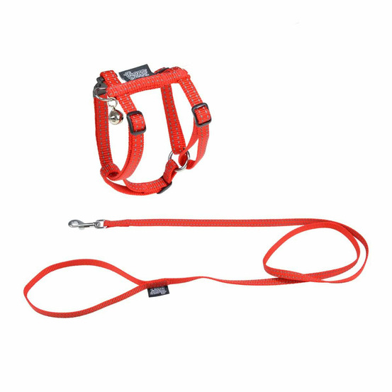 Harnais & laisse pour chat