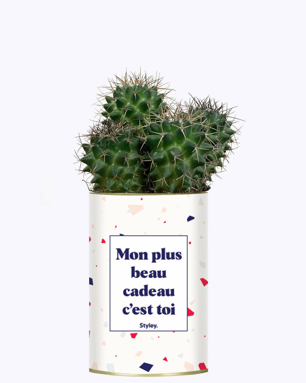 Plante à message - mon plus beau cadeau c'est toi - cactus