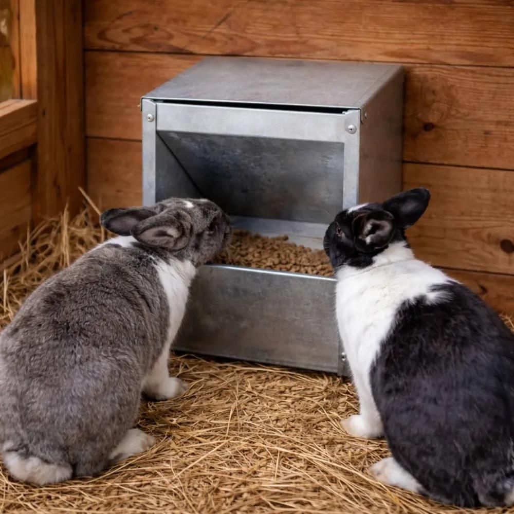 Mangeoire murale metal galvanisé lapin, rongeurs 2,5 kg