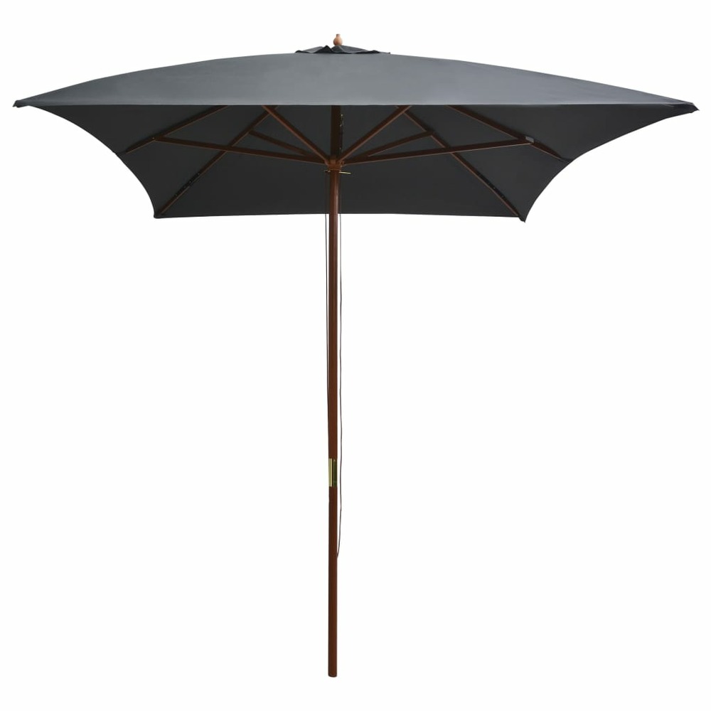 Parasol d'extérieur avec mât en bois 200x300 cm anthracite