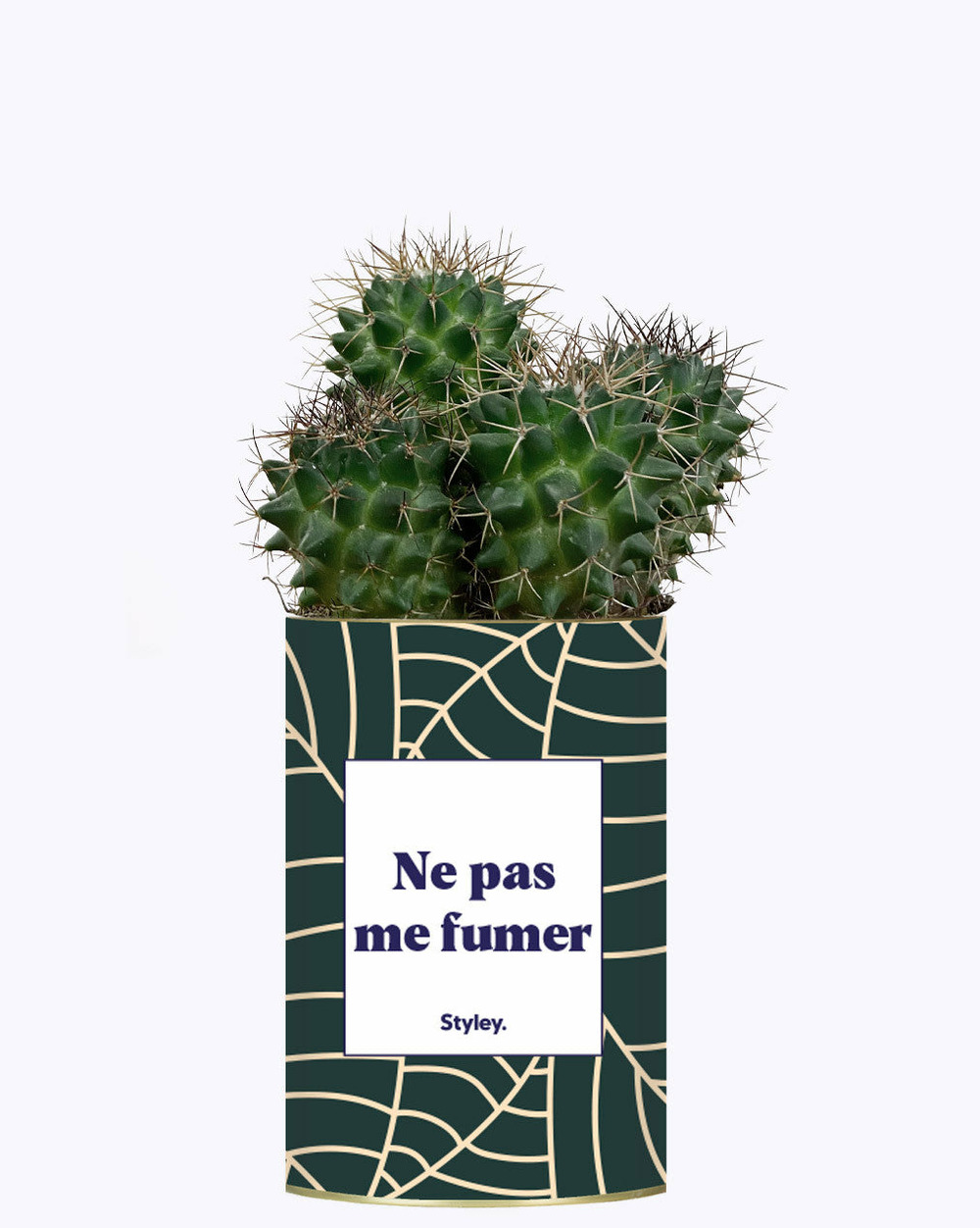 Idée cadeau - ne pas me fumer - cactus