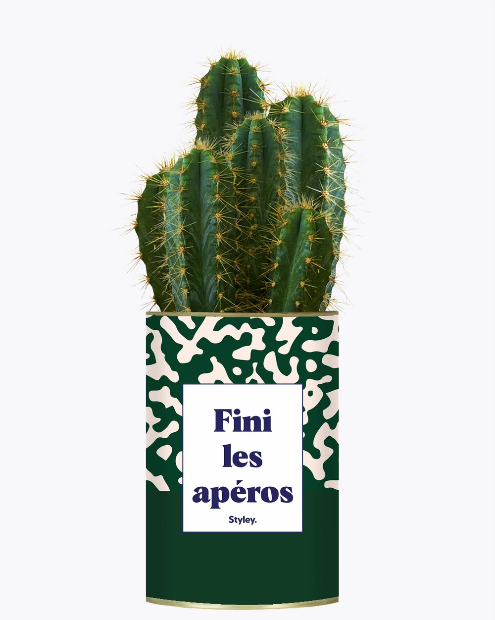 Idée cadeau - fini les apéros - plante