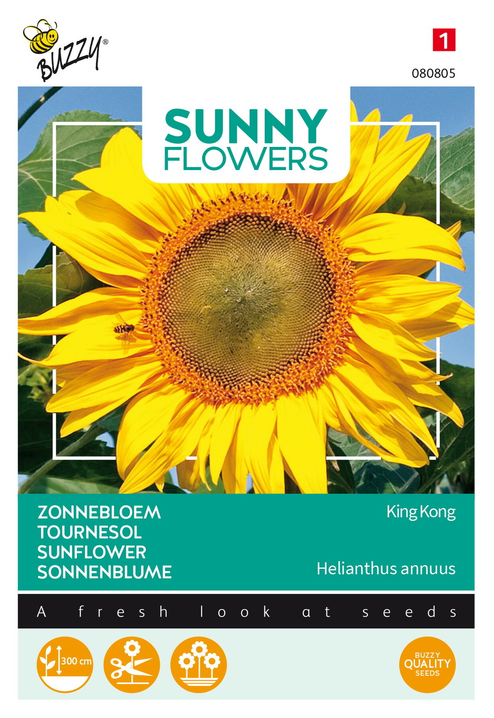 Buzzy sunny flowers, tournesol king kong - ca. 4 gr (livraison gratuite)
