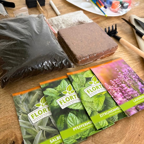 Kit plantation : mon premier kit de jardinage – plantes pour tisanes