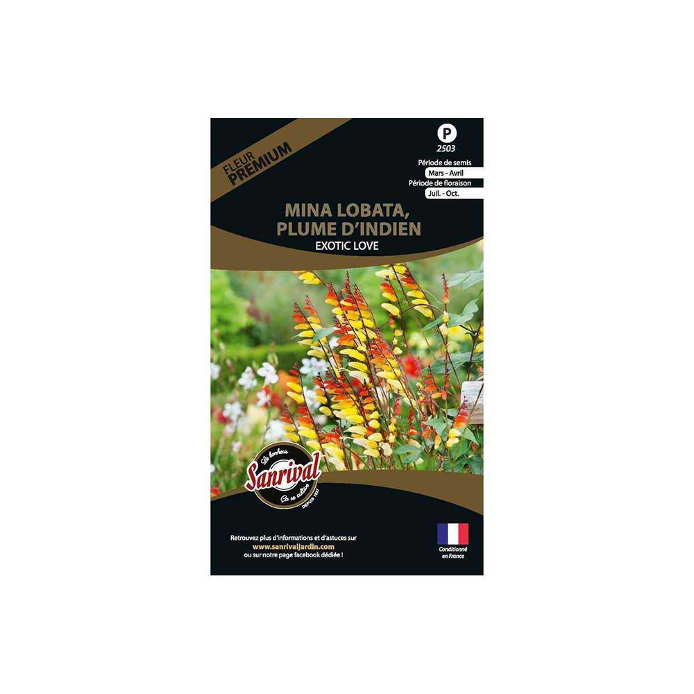 Graines de fleurs premium mina lobata plume d'indien scarlet yellow