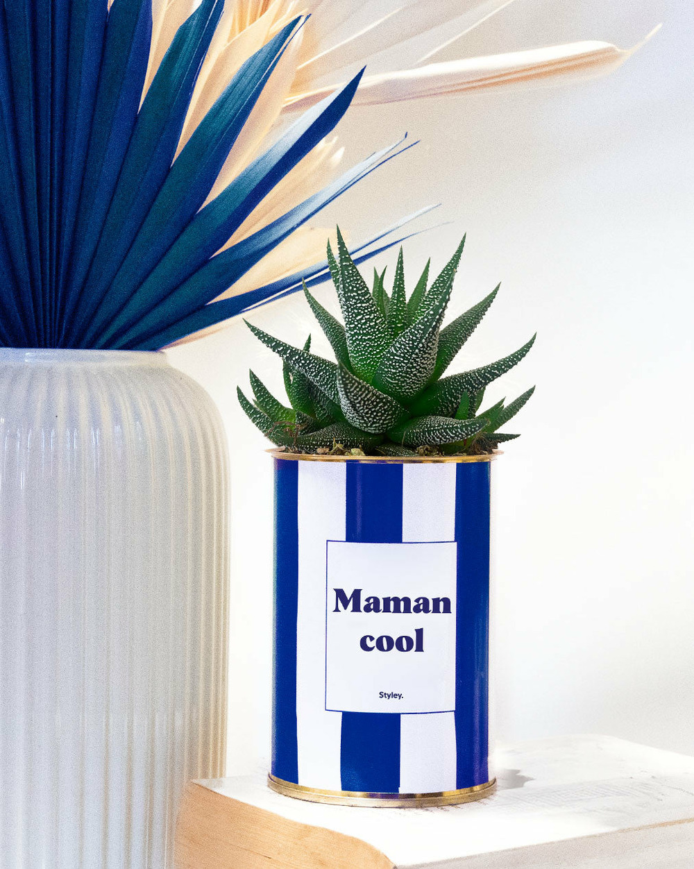 Idée cadeau - maman cool - cactus