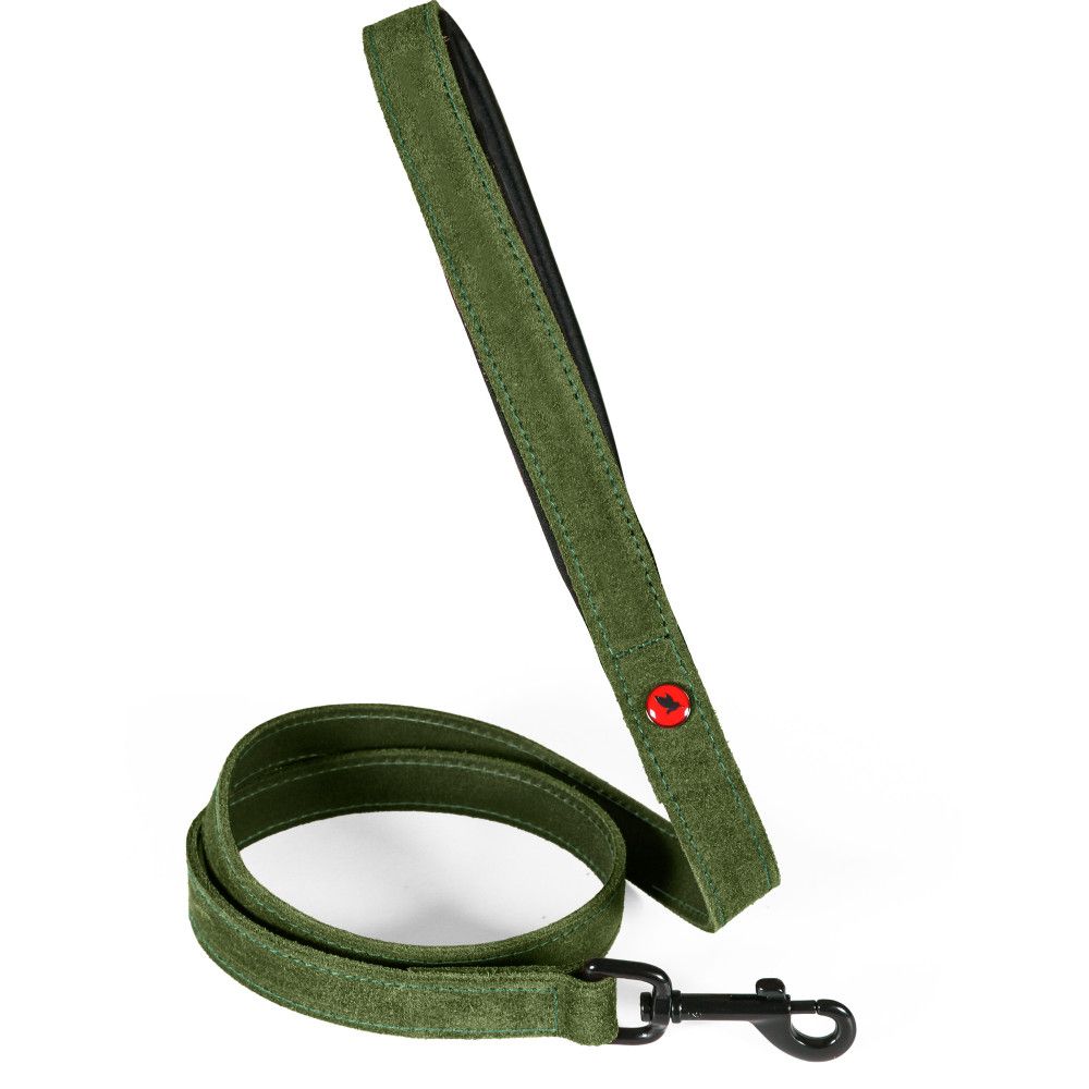 Laisse pour chien en cuir huilé, poignée néoprène, longueur 1 m, sangle 20
