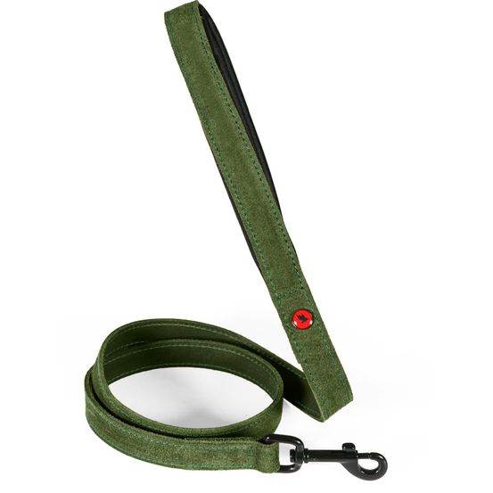 Laisse pour chien en cuir huilé, poignée néoprène, longueur 1 m, sangle 20