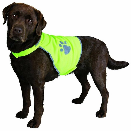 Gilet de sécurité pour chiens - M