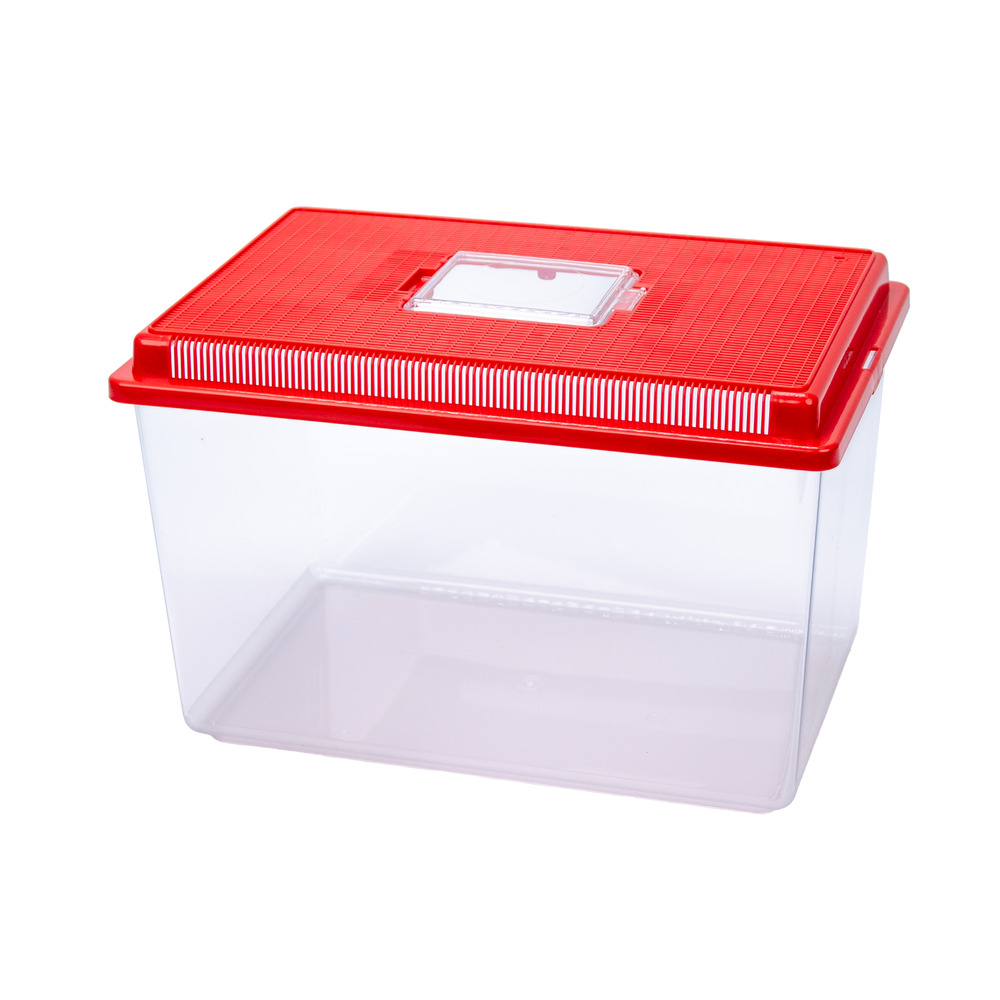 Ferplast conteneur en plastique pour petits animaux geo extra large aquarium bac 11 l pour poissons, , terrarium, insectes, bac à