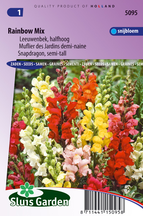 Muflier des jardins demi-naine rainbow mix - graines de fleurs annuelles - ca. 0,25 g (livraison gratuite)