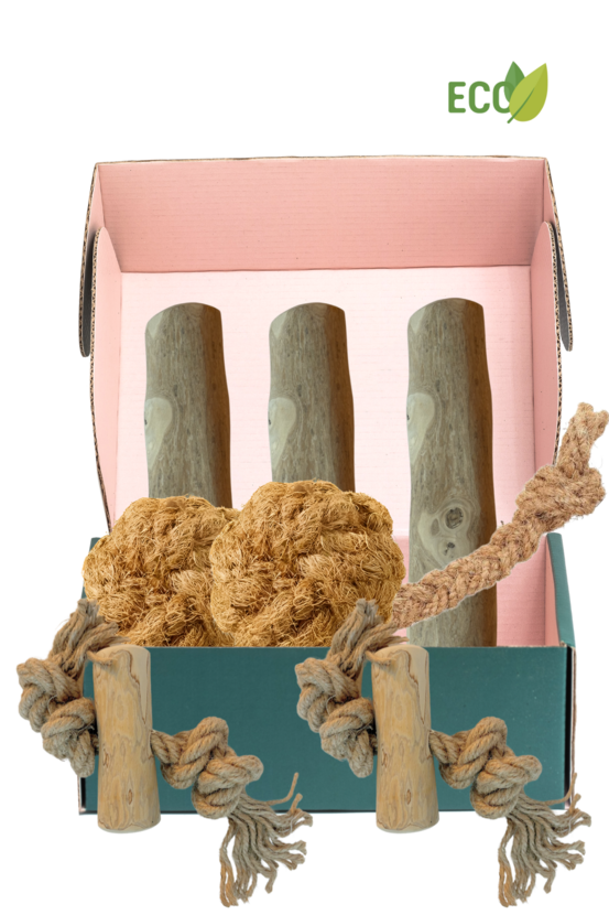 Pack deluxe chien – mâcher et jouer naturellement taille m