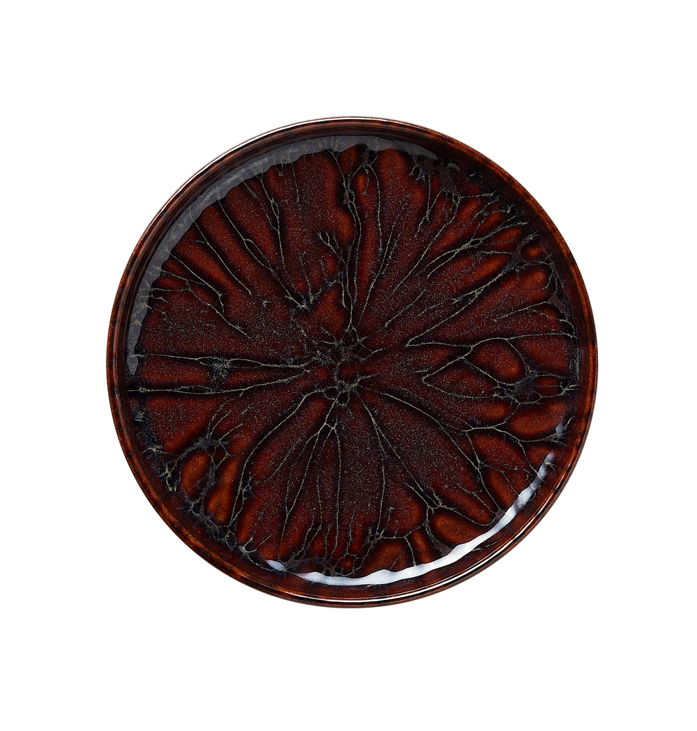 Lot de 6 assiettes en grès amazonie h 30 mm ø 220 mm 1 - was germany