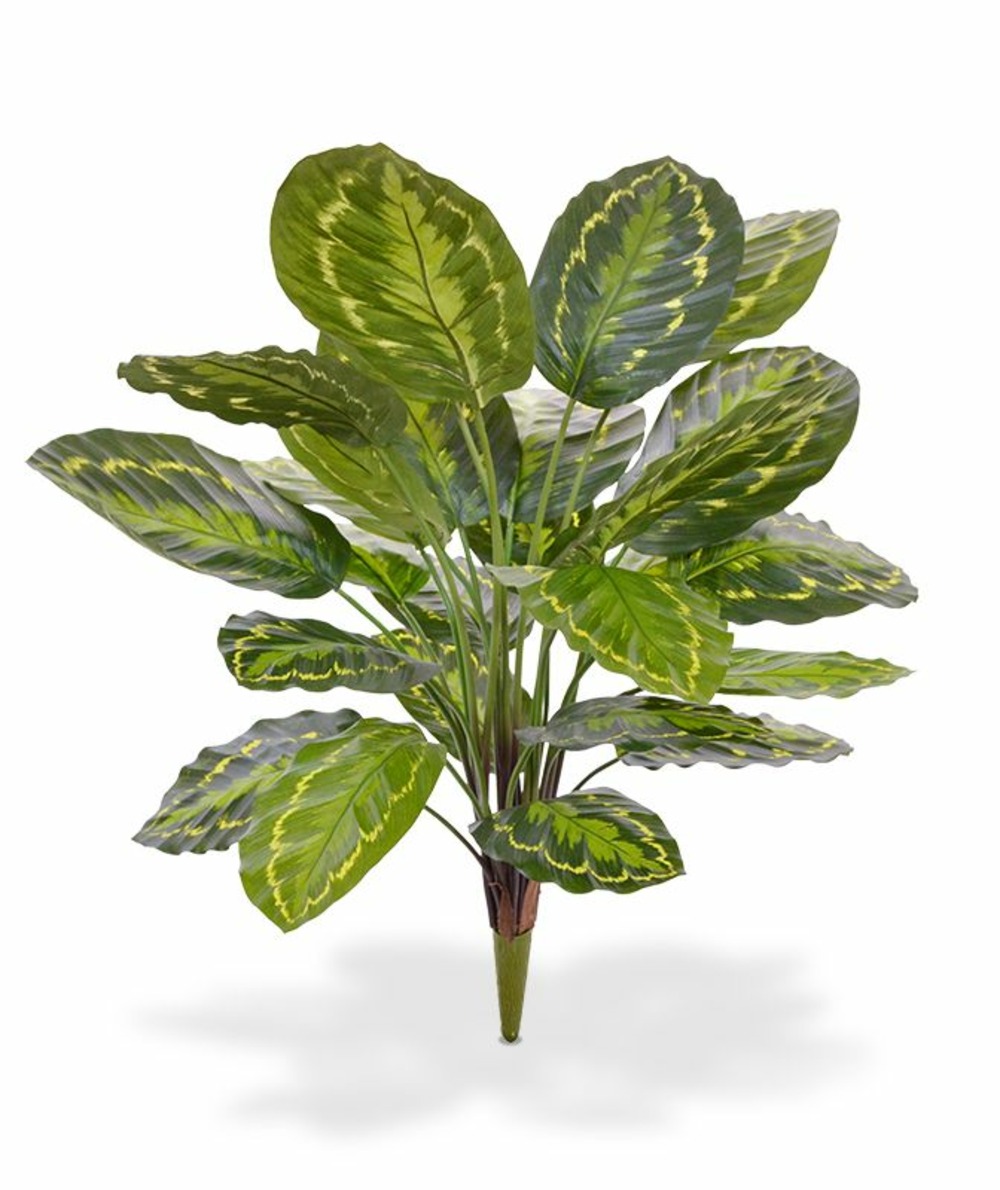 Calathea roseopicta plante artificielle de 65 cm