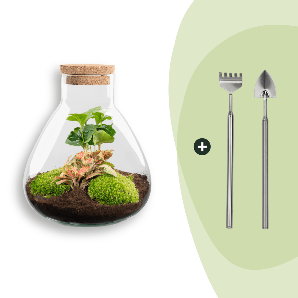 Terrarium à composer bouteille en verre recyclé - ø22-h26cm - avec râteau et pelle - terrarium diy