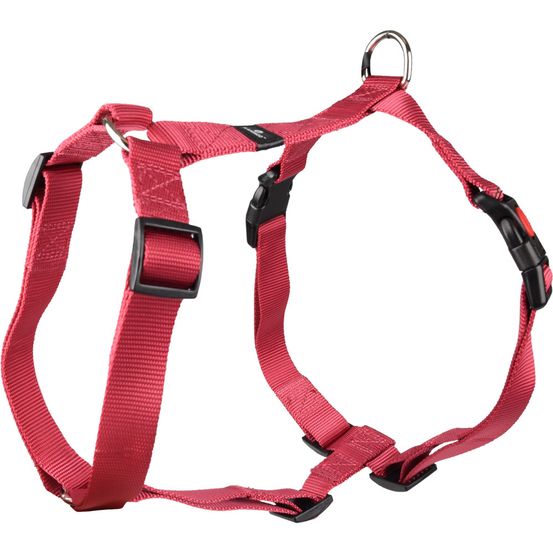 Harnais h ziggi xxl tour de cou 60 -85 cm 25 mm rouge cerise pour chien