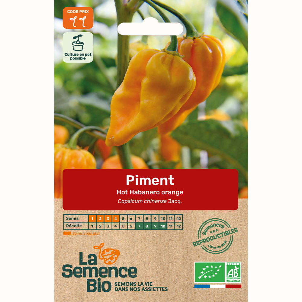 Piment hot habanero orange - graines bio