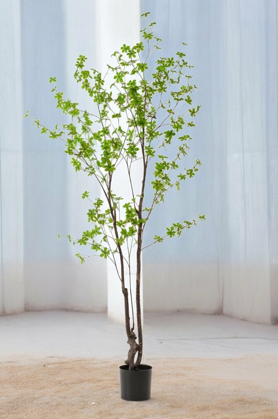 Tropaeolum speciosum plante artificielle - h210cm