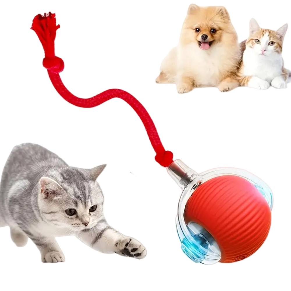 Jouet à Rouler Automatique Et Rechargeable Par USB Pour Chat