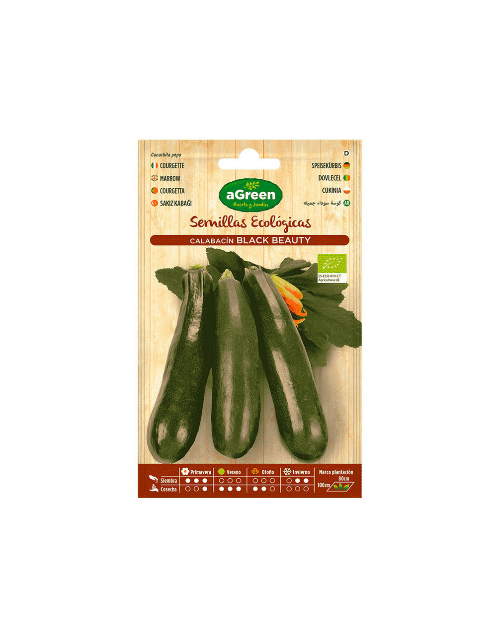 10 sachet de graines de courgette noire eco seeds beauty agreen