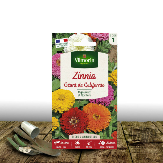 Graines de zinnia géant de californie varié - vilmorin sachet