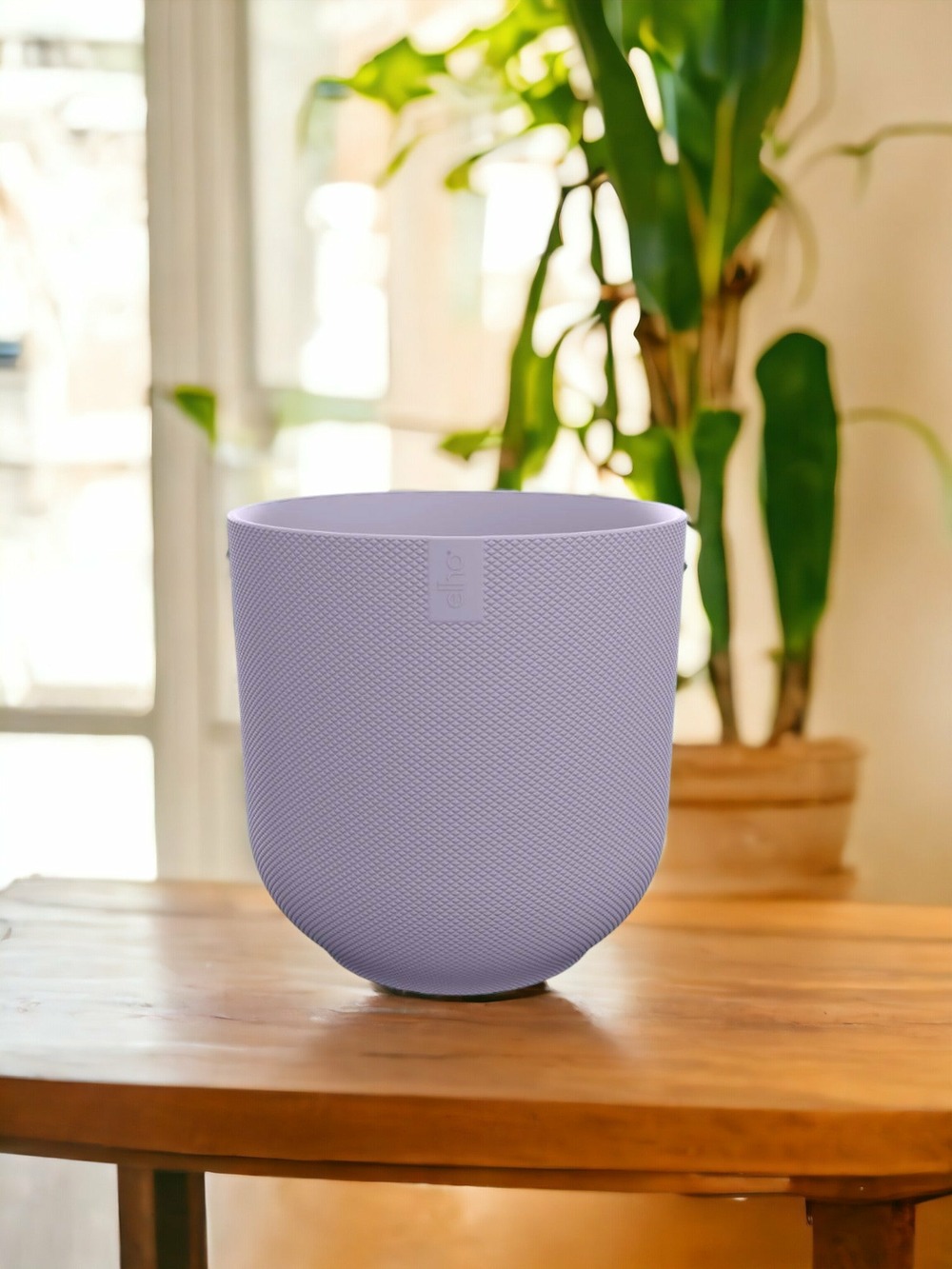 Pot elho jazz rond lavande lilas 14 cm