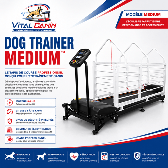 Dog trainer medium