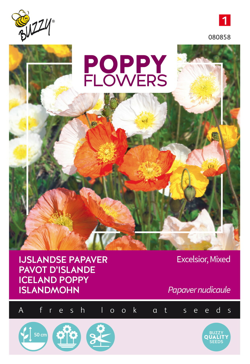 Buzzy poppy flowers pavot d'islande - ca. 0,5 gr (livraison gratuite)