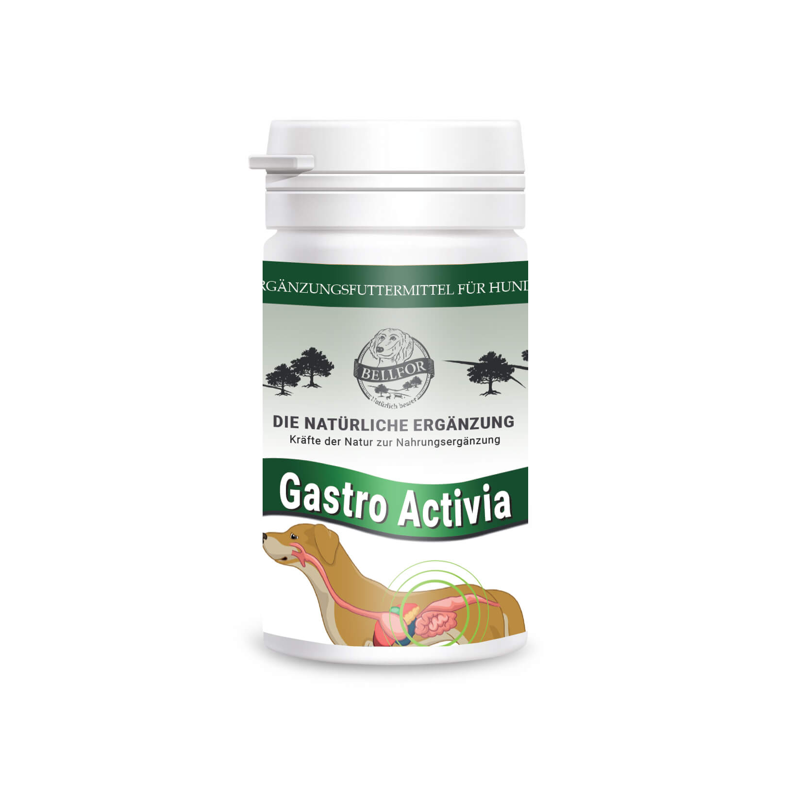Gastro activia - poudre - 80g