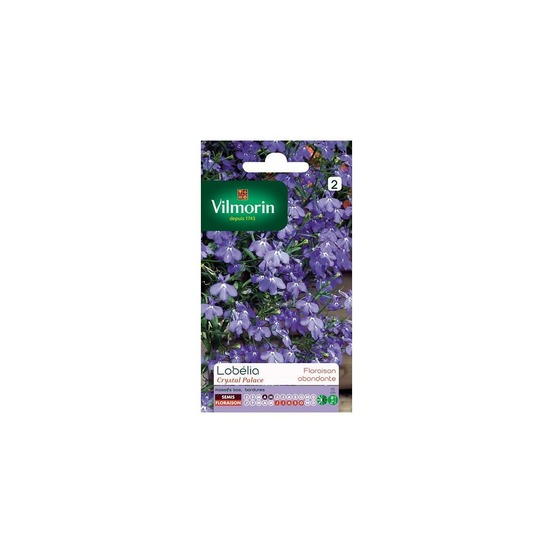 Sachet graines lobelia crystal palace