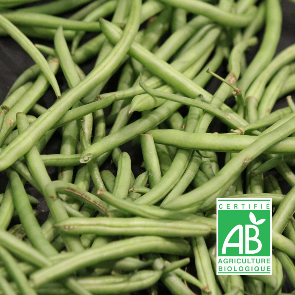 Graines de haricot nain filet sans fil cupidon - sans traitement boite