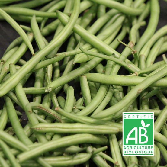 Graines de haricot nain filet sans fil cupidon - sans traitement boite