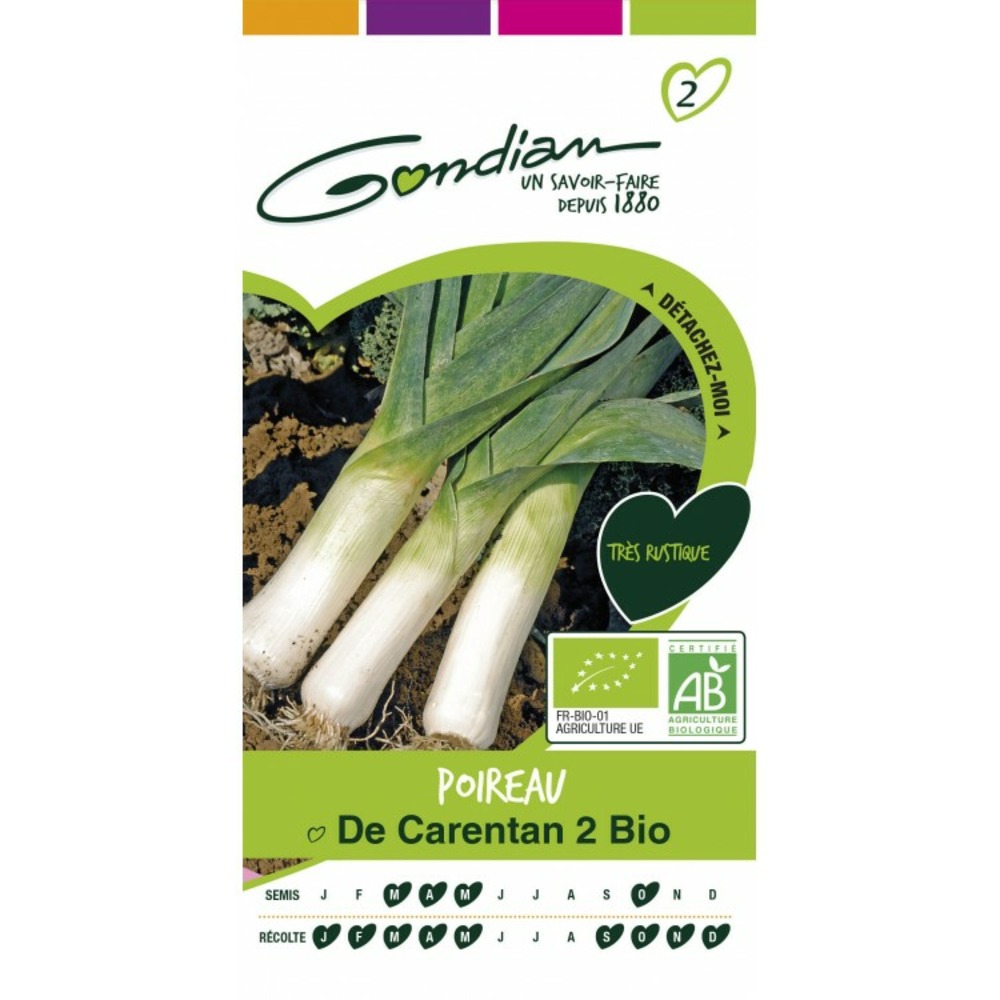 Poireau de carentan 2 bio