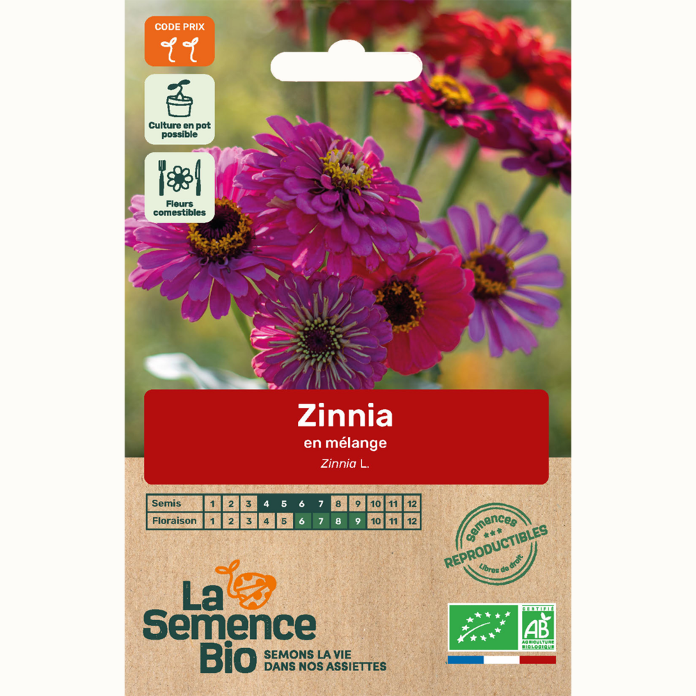 Zinnia en mélange - graines bio