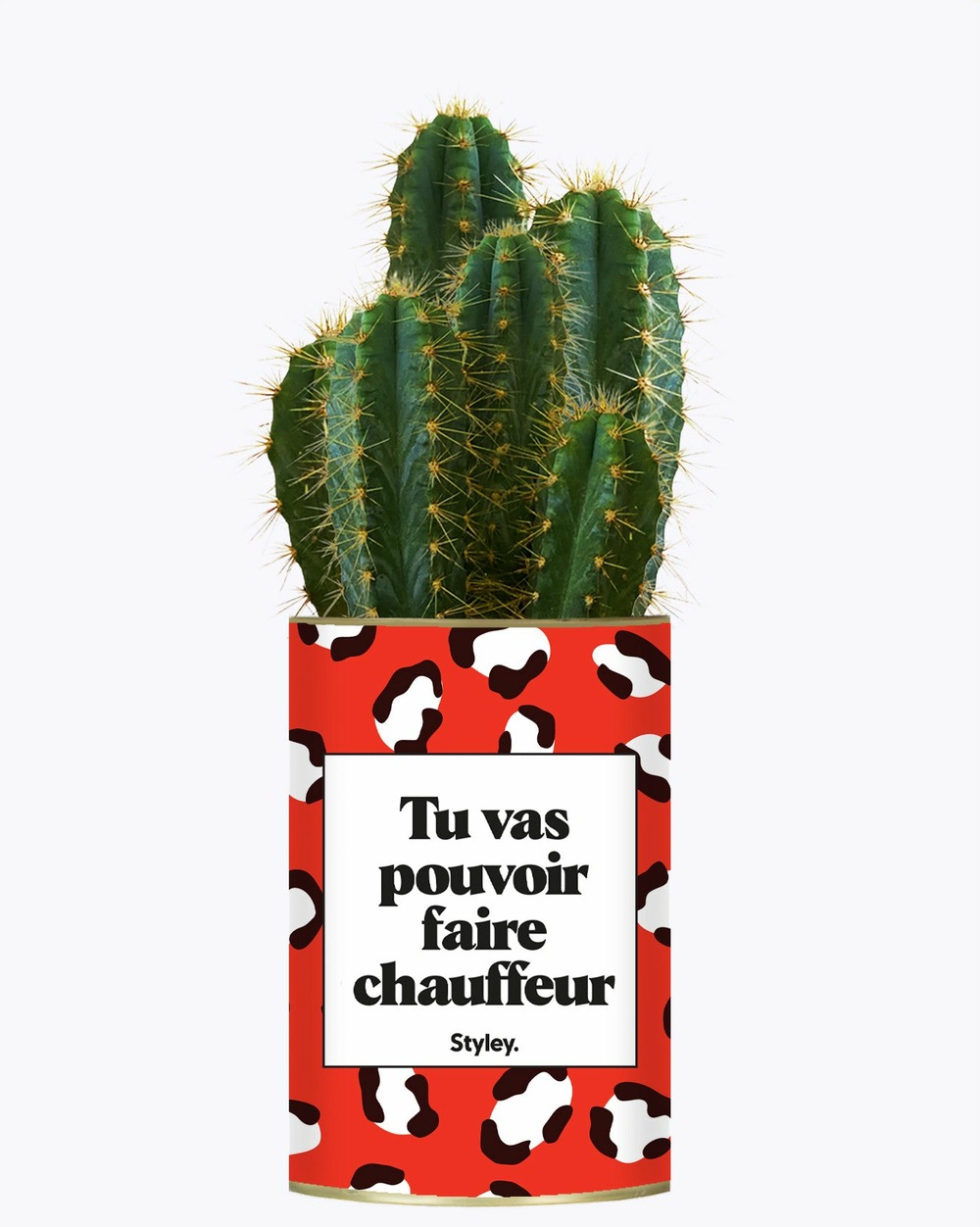 Idée cadeau - tu vas pouvoir faire chauffeur - cactus