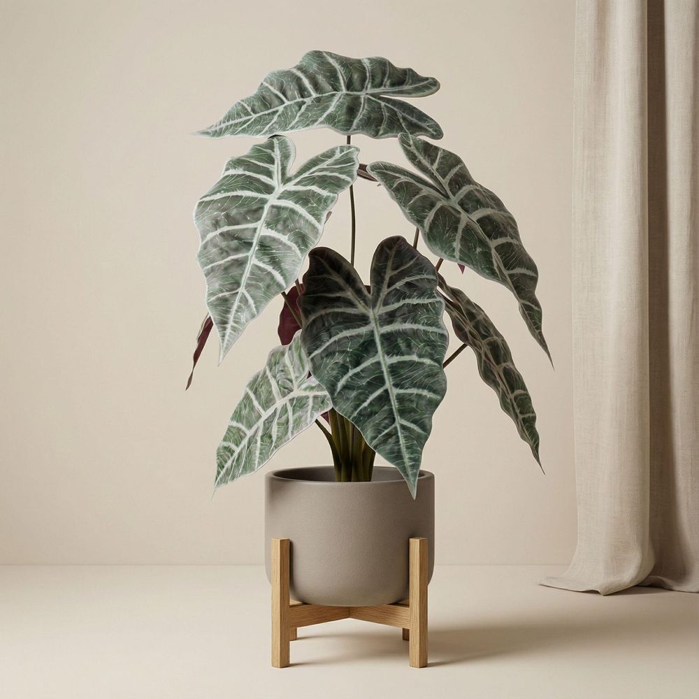 Alocasia plante artificielle - ø10 cm