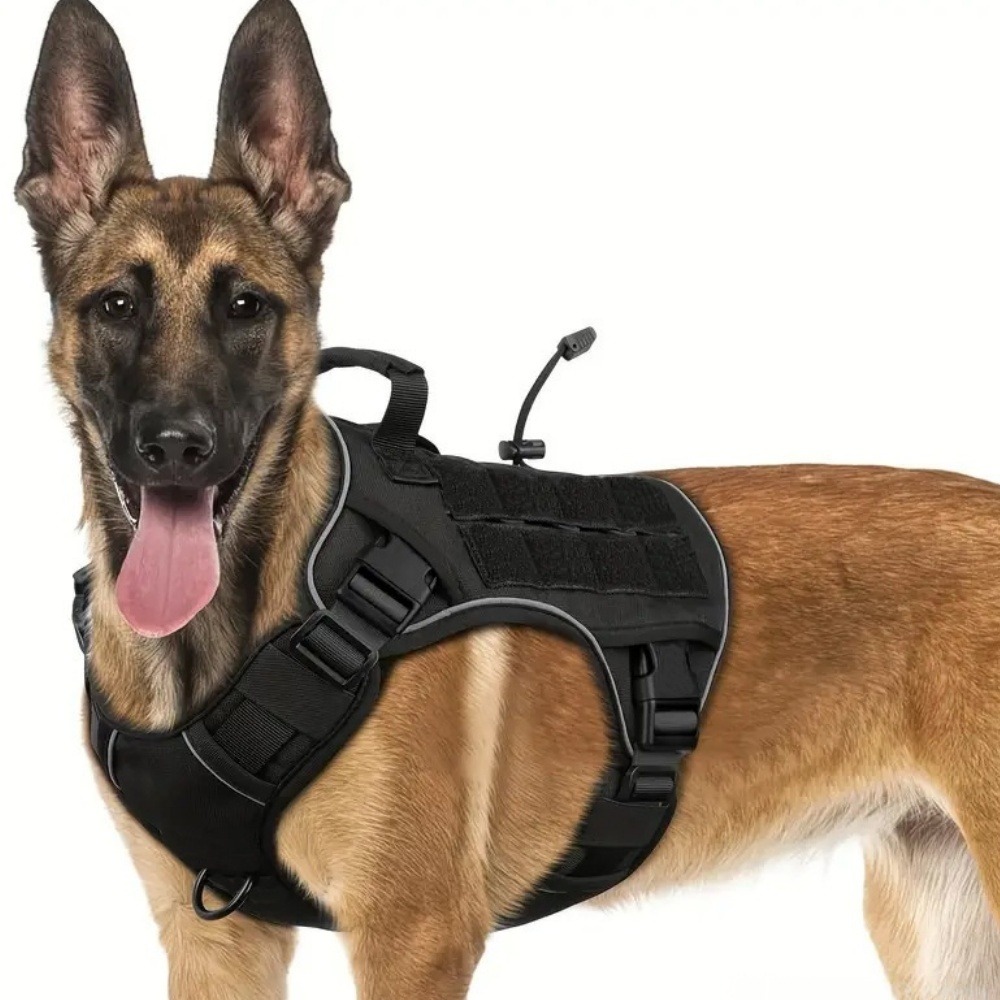 Harnais pour chien-anneau en d avec poignée- taille l